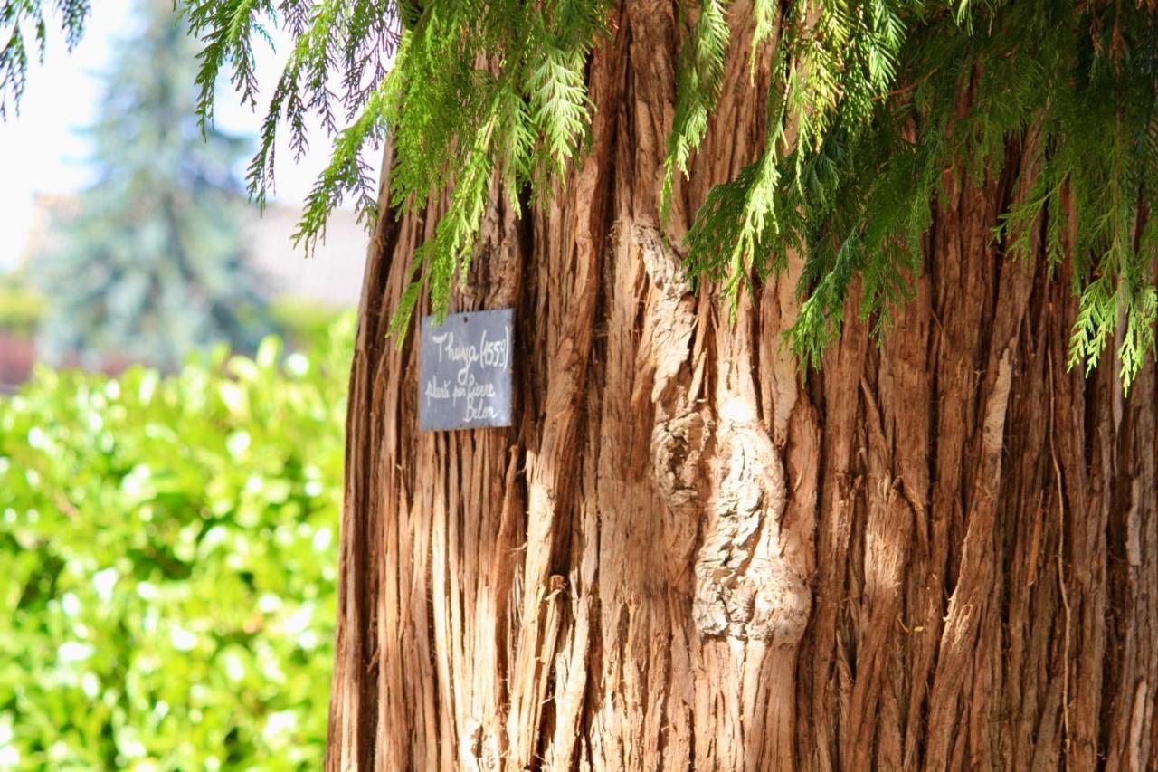 Chateau De Montaupin Bed & Breakfast