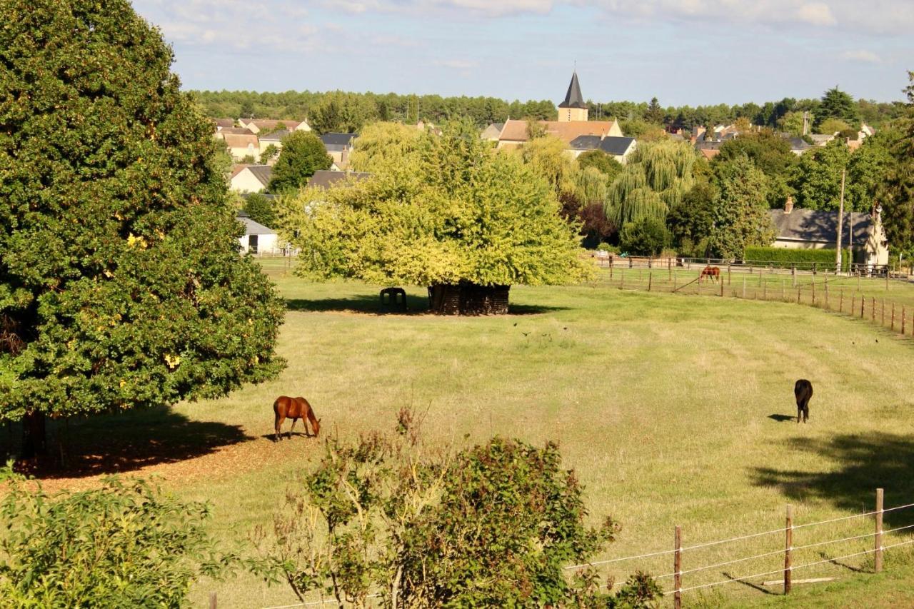 Chateau De Montaupin * Oizé