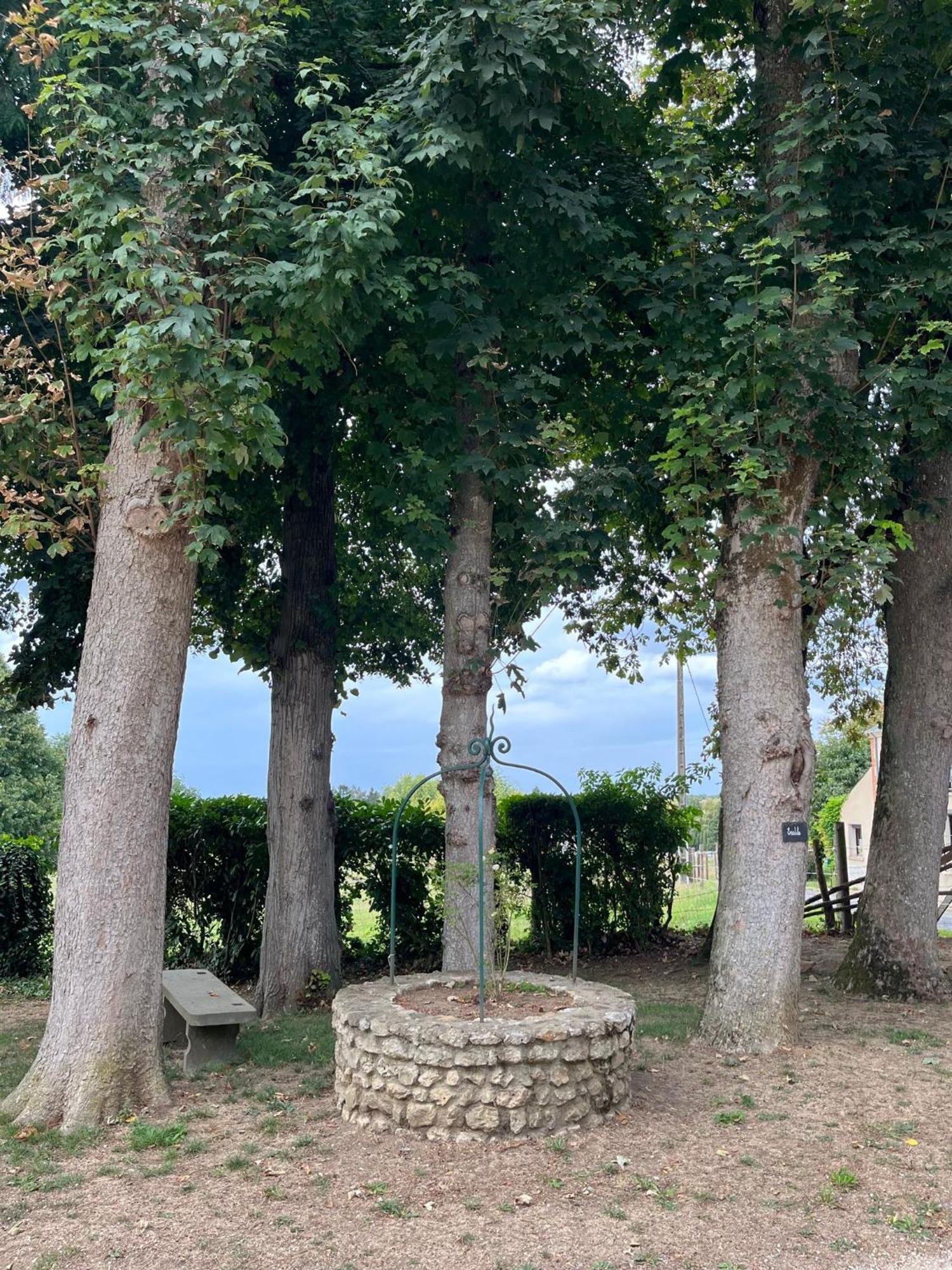 Chateau De Montaupin * Oize