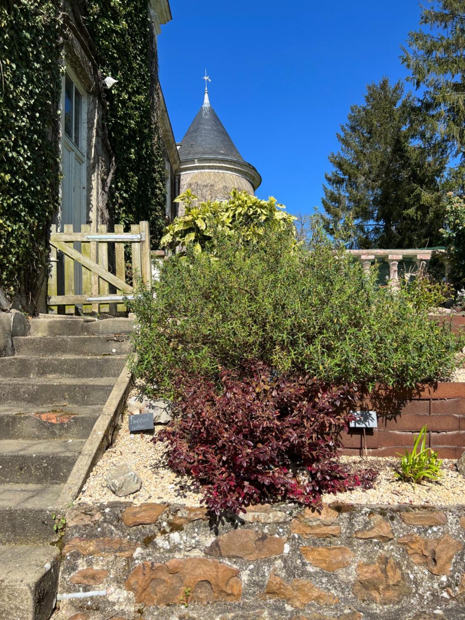 Bed & Breakfast Chateau De Montaupin