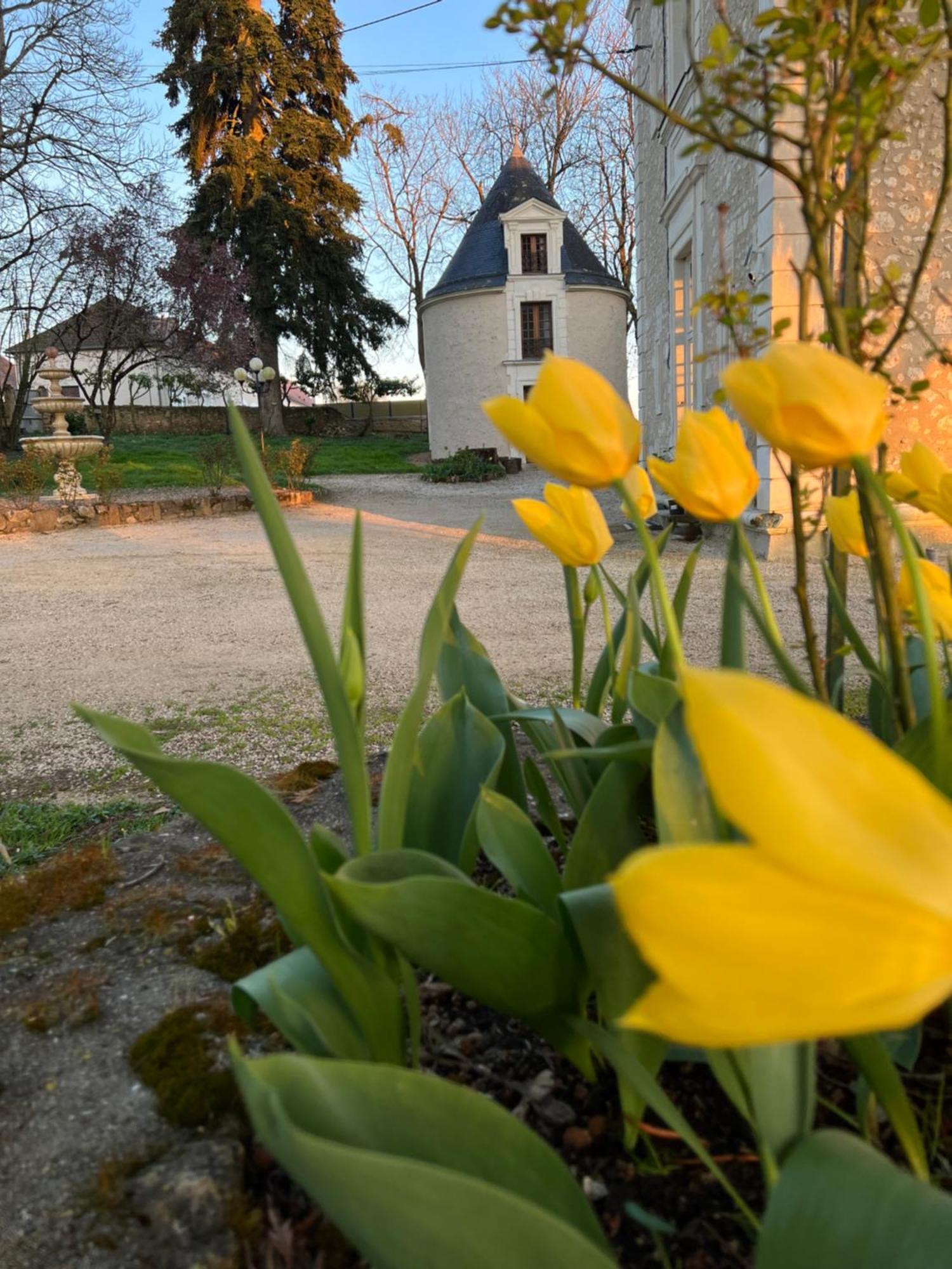 Bed & Breakfast Chateau De Montaupin Oize